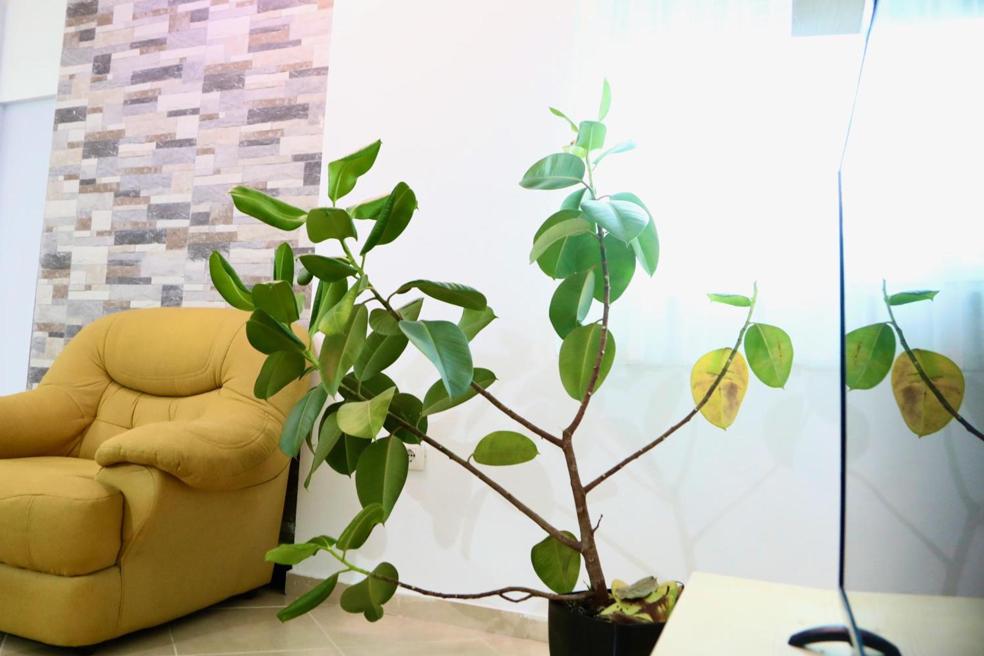 The Bllok Spot Appartement Tirana